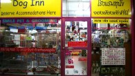Keeping Pets in Phuket