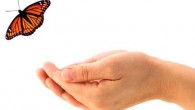 Phuket charities